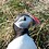 Federico_Di_Alcuno
